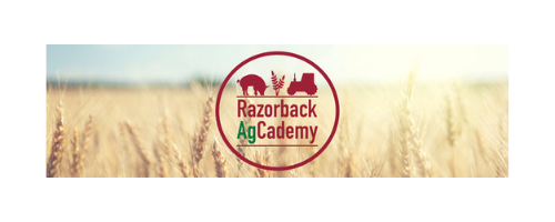 Razorback AgCademy Logo